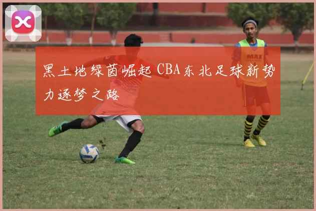 黑土地绿茵崛起 CBA东北足球新势力逐梦之路
