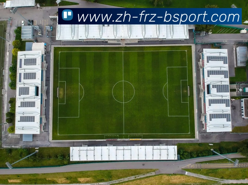 B体育平台生态图